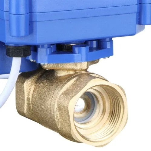 A close view of one end of the drain valve's brass body, showing the internal thread and the ball inside